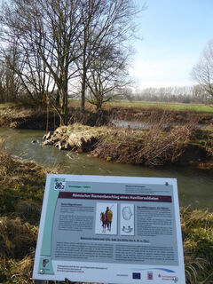 Altarm der Schwalm