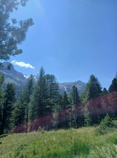 Foto von Luca Dainese entlang der Tour