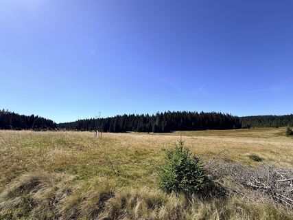 Foto von Jana Schmidt entlang der Tour