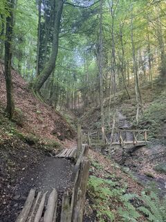 Photo de Nico ?️ le long du parcours