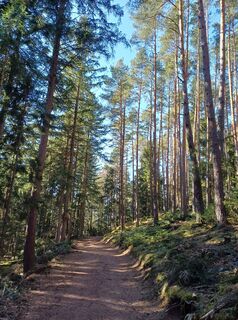 Zdjęcie z Andrea Rothbauer wzdłuż trasy
