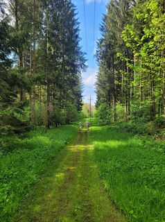 Foto från schenkeli under resans gång