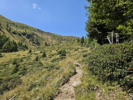 Foto von Jutta Ibeschitz entlang der Tour