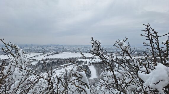 Foto von Regina Fleischmann entlang der Tour