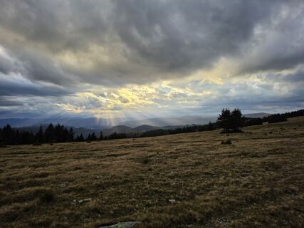 Fotografija s spletne strani TwilightTea na poti