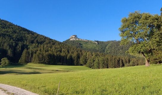 Lindaumauer - Blick von Platten