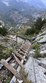 Photo de Mountain Cat ? ⛰️ le long du parcours