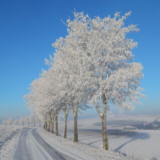 Winter am Schwartenberg