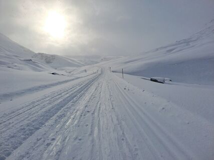 Fotografija s spletne strani Magnus Moser na poti