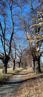 Fotografia z Martha Zeltner na trase