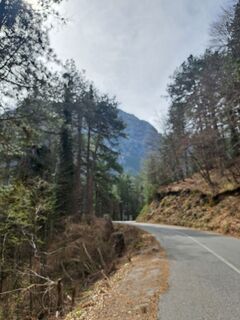 Fotografie z Sandra Stemplinger na trase