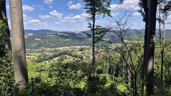 Foto von Claudia Maurer entlang der Tour