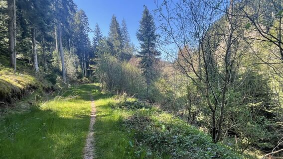 Foto da Radovan Culic lungo il tour