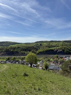 Foto de Wladimir Zenner a lo largo del recorrido
