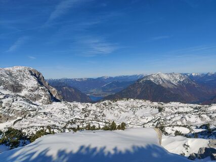 Fotografia z Markus Wintersteiger na trase