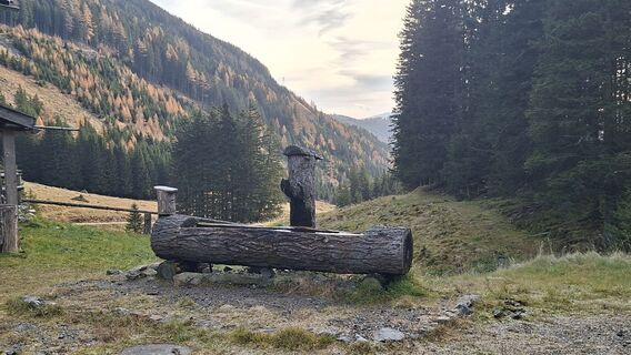 Fotografie z Horst Ditjo na trase