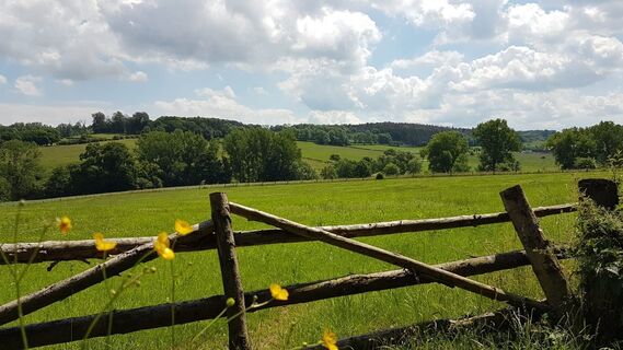Auf dem Friedrich-Wilhelm-Weg zwischen Holzhausen und Pömbsen