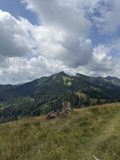Photo de Tim Beißner le long du parcours