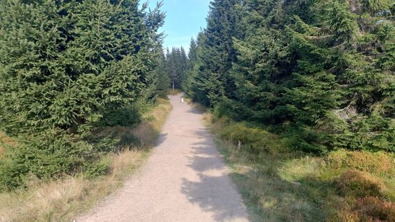 Foto de Henryk Ludwicki a lo largo del recorrido