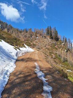 Photo de Dagmar Hofer le long du parcours