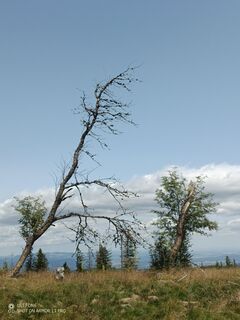 Foto de Bergpirat a lo largo del recorrido