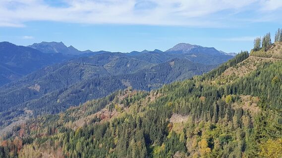 Fotografia z Michael T 3 na trase