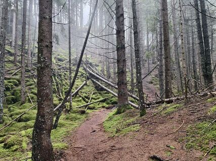 Foto von Andrea Treichl entlang der Tour