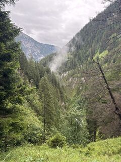 Foto von Grizzli entlang der Tour