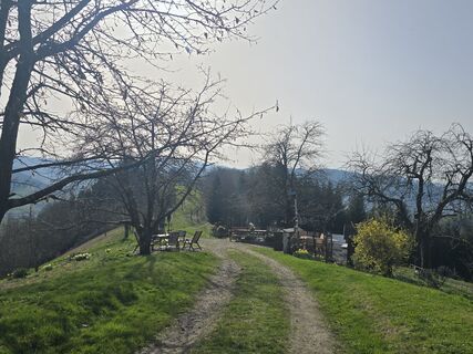 Fotografie z Michel Kennel na trase