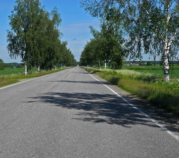 Karte