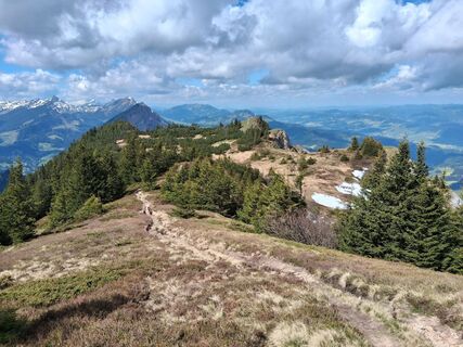 Fotografia z Stefan38 na trase