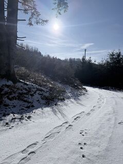Foto de Justin Besting a lo largo del recorrido
