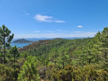 Foto de W B MA a lo largo del recorrido