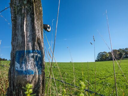 Natursteig Sieg Etappe 10