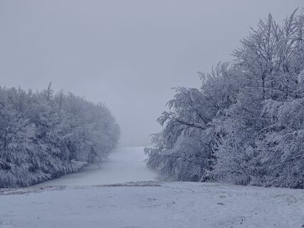Foto de Sabine a lo largo del recorrido