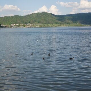 Blick auf den Überlinger See