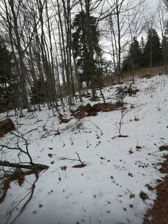 Fotografija s spletne strani Cvetka Salamon na poti