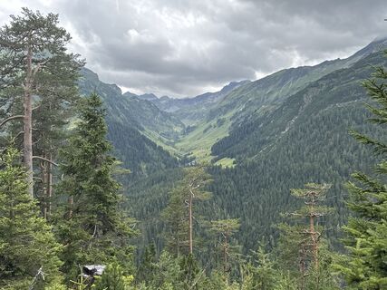 Foto von Grizzli entlang der Tour