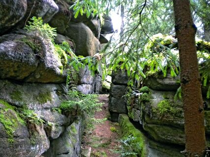 Katzenstein beim Groß-Radischen-Teich