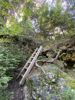 Foto da Arthur Muskalla lungo il tour