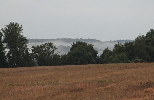 Dargnies_Nebeltal©ADRT800-DM