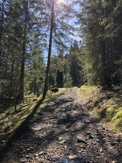 Photo de Martin Hentschel le long du parcours