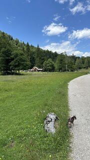 Photo de Viktoria le long du parcours