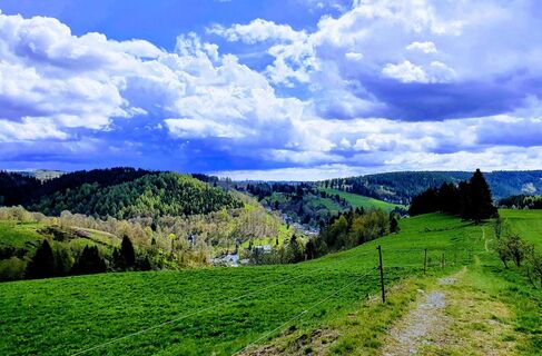 Blick über die Eller und Lauscha