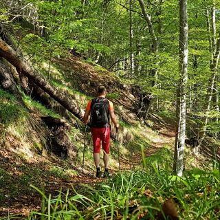 Entlang des CAI 212 Weges (erster Aufstiegsabschnitt)