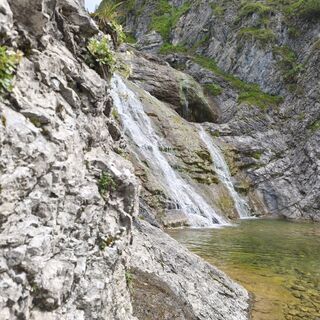 Fotografija s spletne strani Ekorre na poti