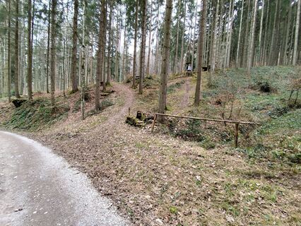 Fotografia z Margit Leitner 1 na trase