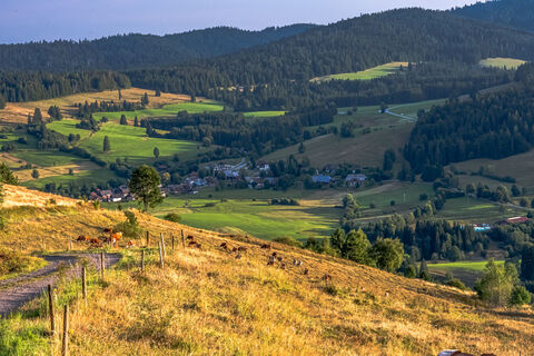 Traumhafter Blick vom Panoramaweg aufs Bernauer Hochtal