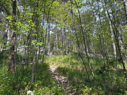 Park 40 - Park der Schützengräben und des Litorals