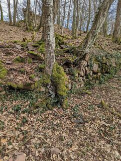 Photo de Andreas Reiher le long du parcours